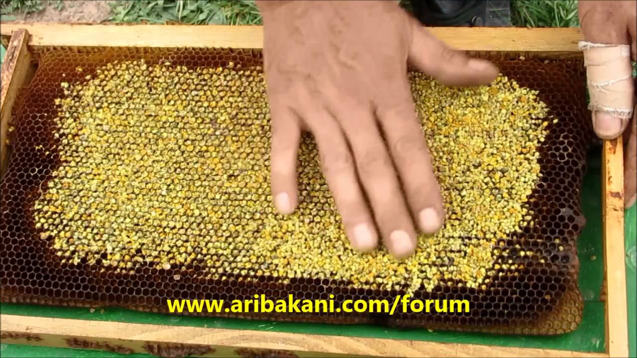 Polenli çıta oluşturmak