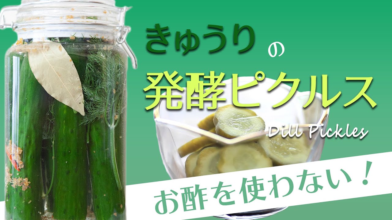 【きゅうりの保存食】お酢を使わない！きゅうりの発酵ピクルスの作り方｜How To Make Dill Pickles,Naturally Fermented Cucumbers