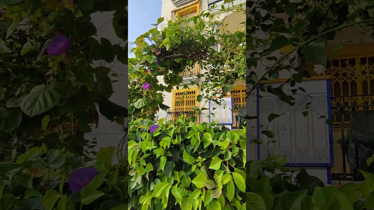Walking in Spain, Calafell October (Binaural City Sounds) HD Summer Ambience