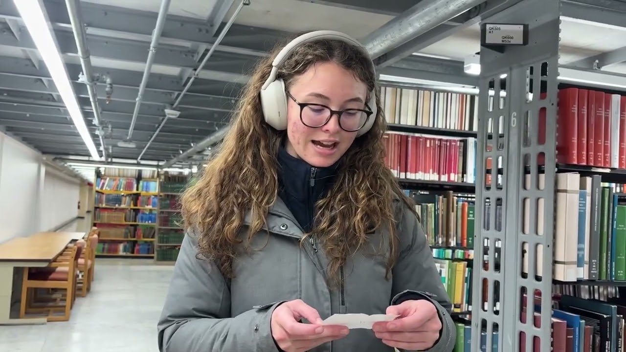 Shorts Department - The Library Mystery