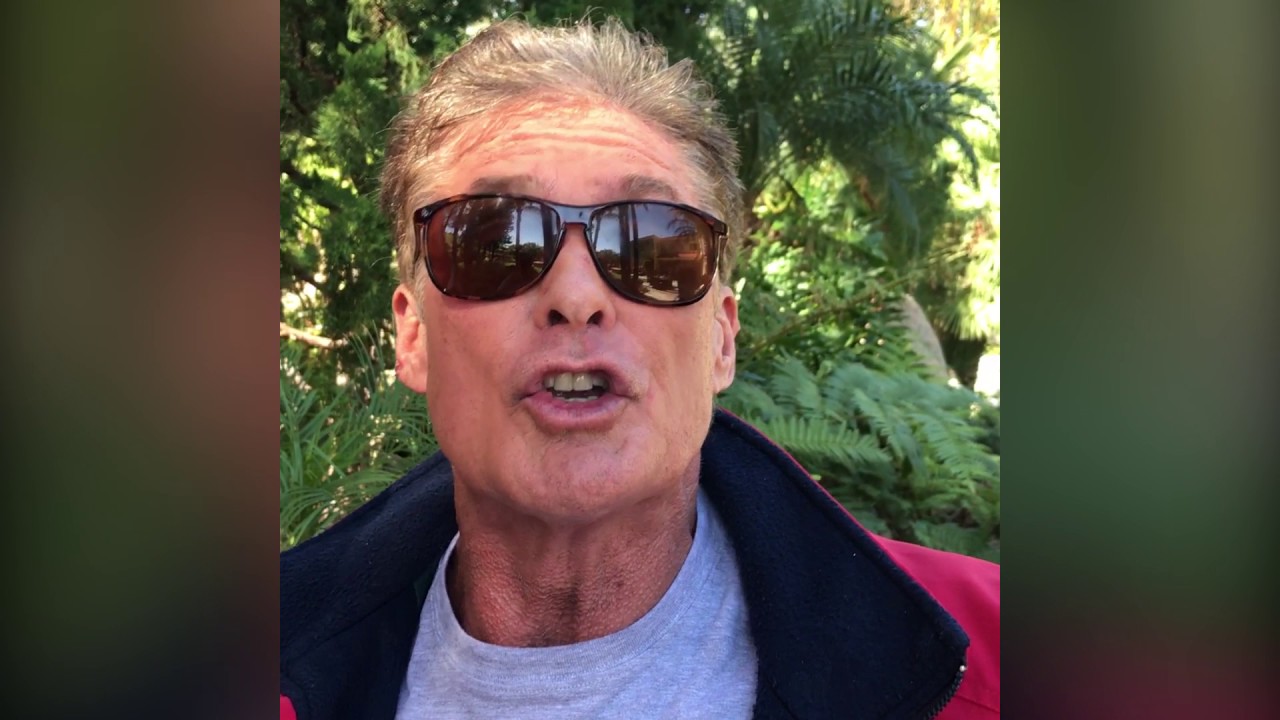 RMJ 2017 - DAVID HASSELHOFF