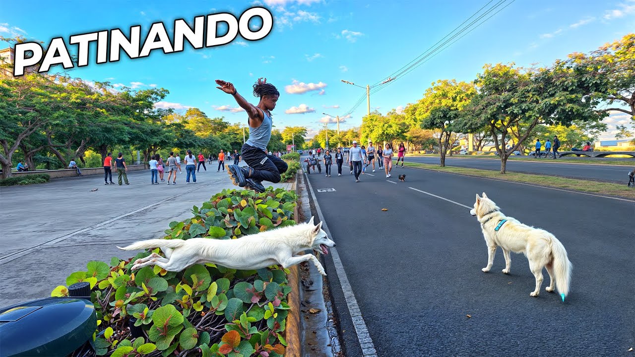 Patinando por el Parque