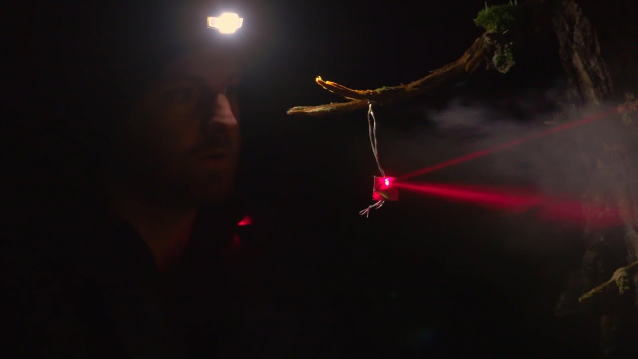 Here's A High-Tech Way To Protect Your Campsite from Bears and Other Intruders