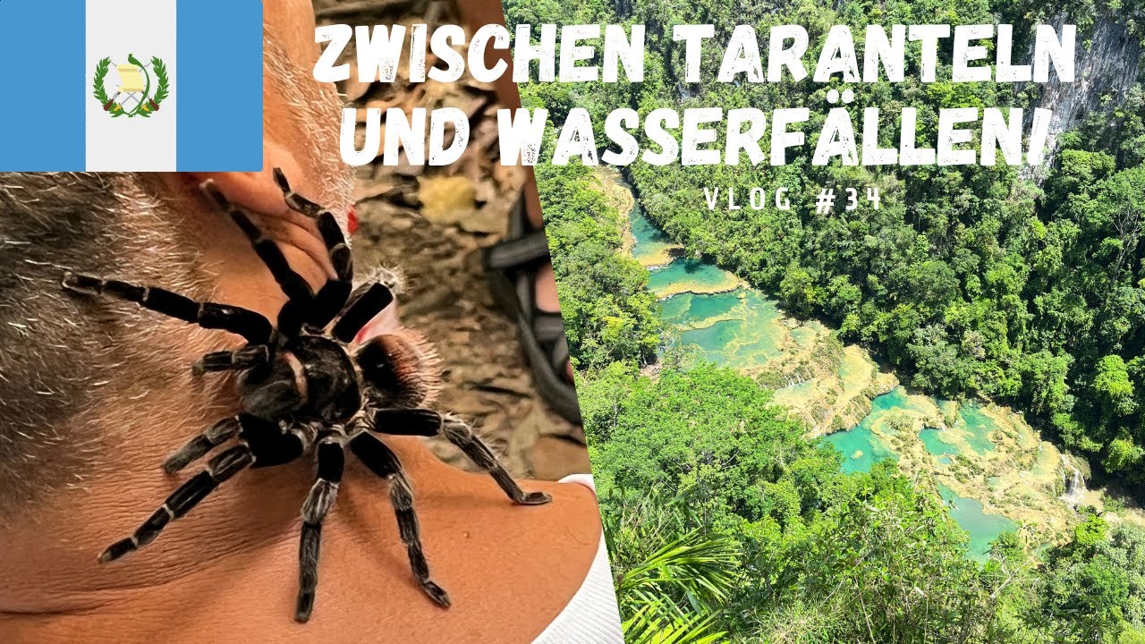 Zwischen Taranteln und Wasserfällen! Wir kommen nach Guatemala🇬🇹 - Weltreise Vlog #34