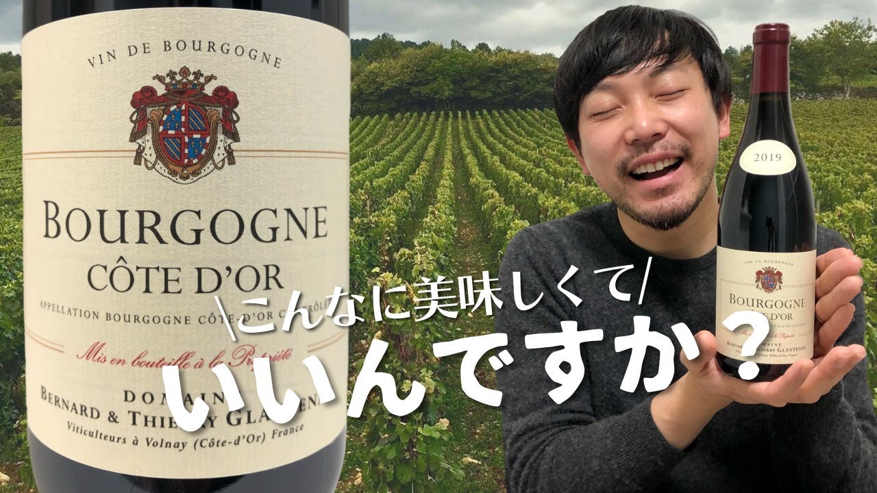【ワイン フランス】ブルゴーニュのコスパ抜群といえば、グラントネイ！ ゆきおとワイン380「Thierry Glantenay Bourgogne Cote d'Or 2019」