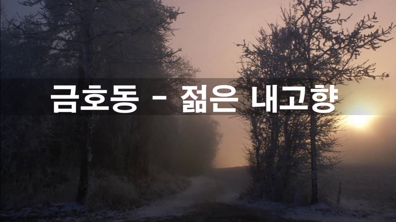 금호동 - 젊은 내고향 kpop 韓國歌謠