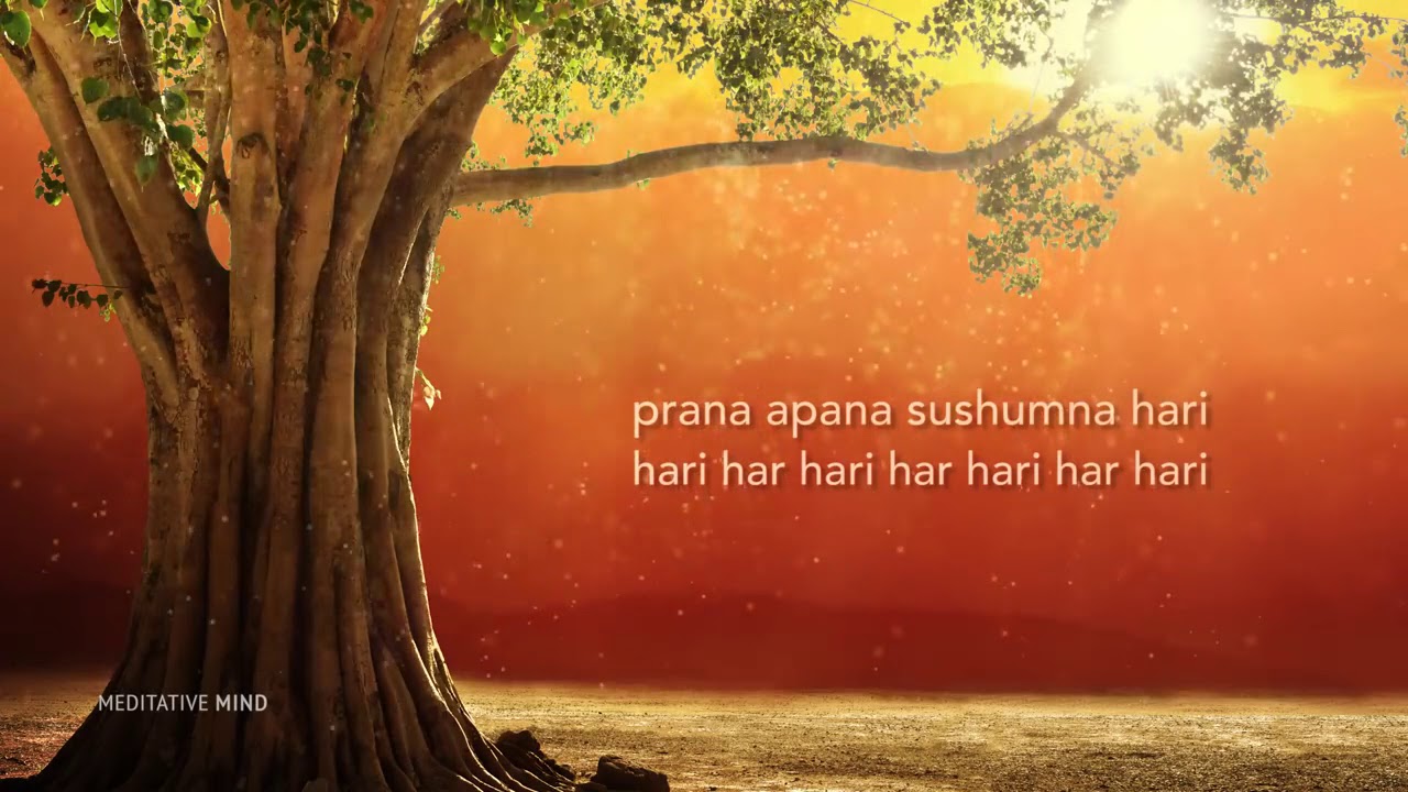 MAGICAL HEALING MANTRA - Prana Apana Sushumna Hari Meditation