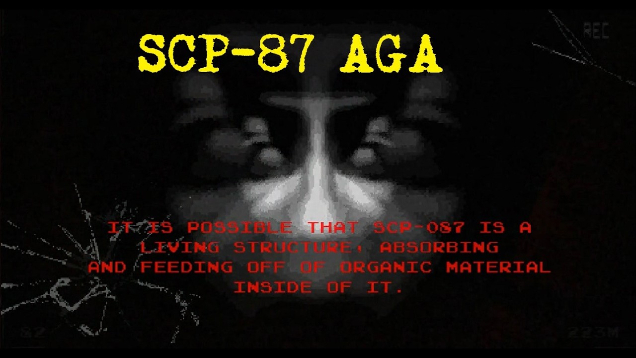 BU MERDİVENLER SONSUZ!!! - SCP 087