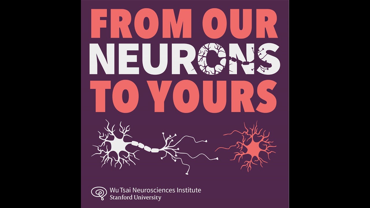 Big Ideas in Neuroscience: A new neuroscience of pregnancy