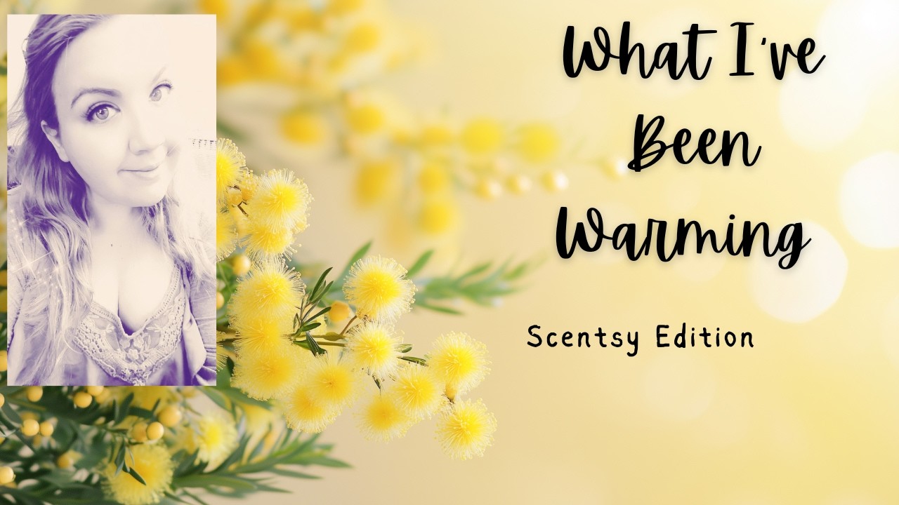 I Warmed Everything But the Kitchen Sink + Warm Reviews of Scentsy Bloomie, Classic, SOTM & Disney