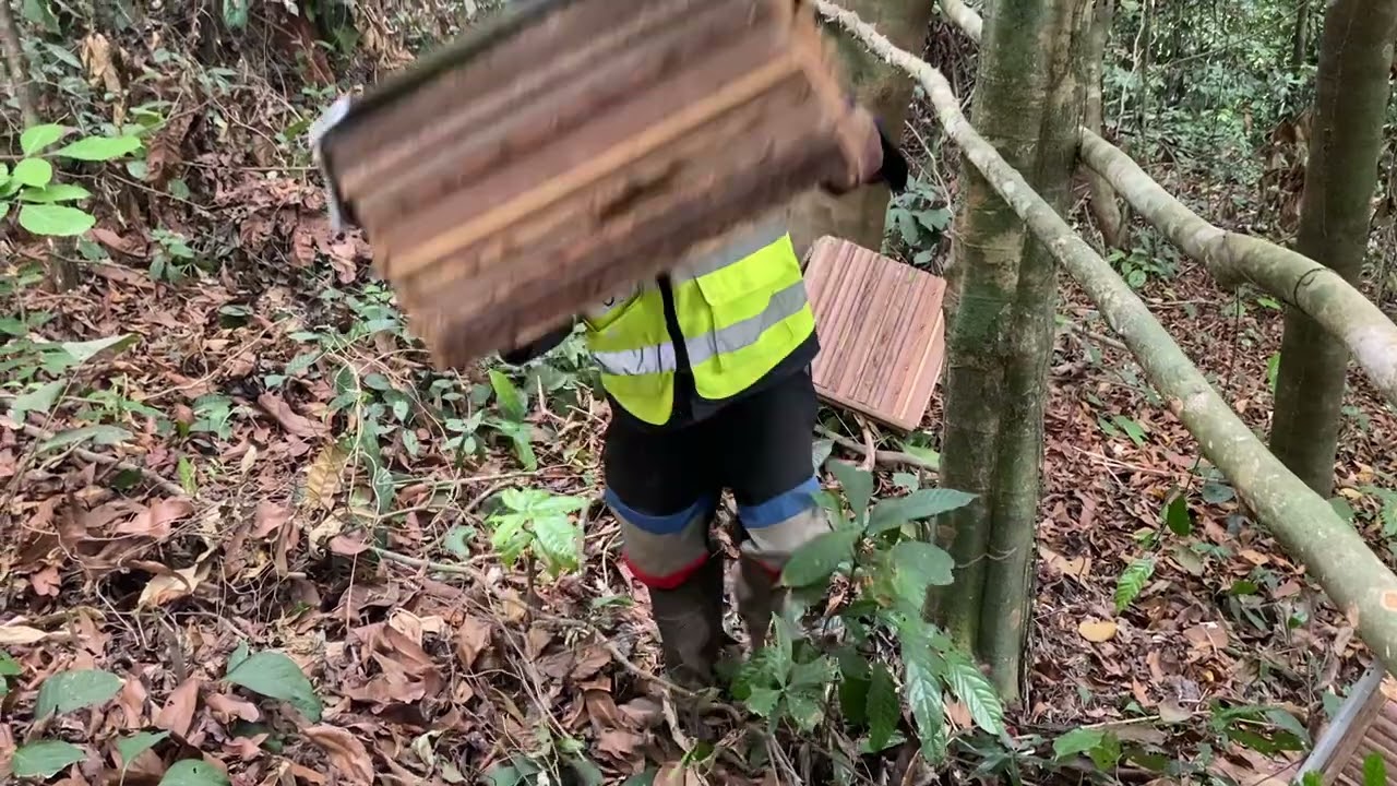 As-tu déjà installé combien de ruches depuis le début de cette campagne apicole 