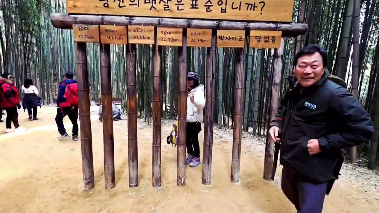 전라남도 담양 죽녹원 대나무숲길 너무보기 좋아요 구경 하세요 