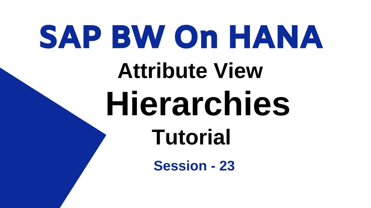 Attribute View Hierarchies SAP BW On Hana Tutorial | Level Hierarchy - 23
