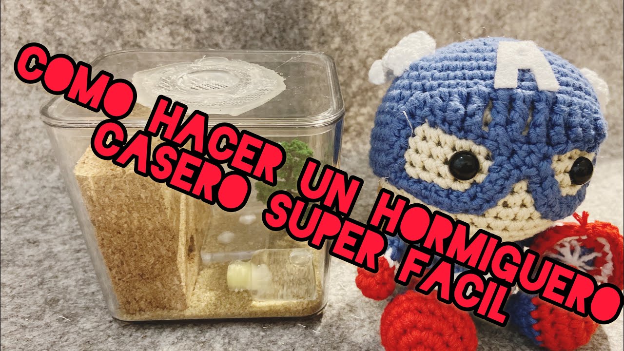 Como hacer un hormiguero casero super fácil