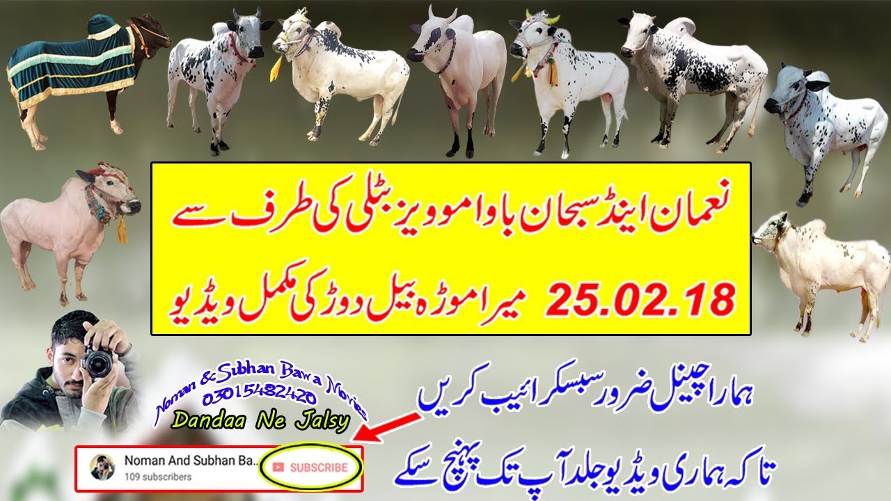 Mera Morha Ki Mukamal Video