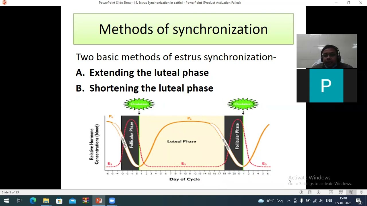 Estrus Synchronization Lecture by Dr. S.K. Sheetal