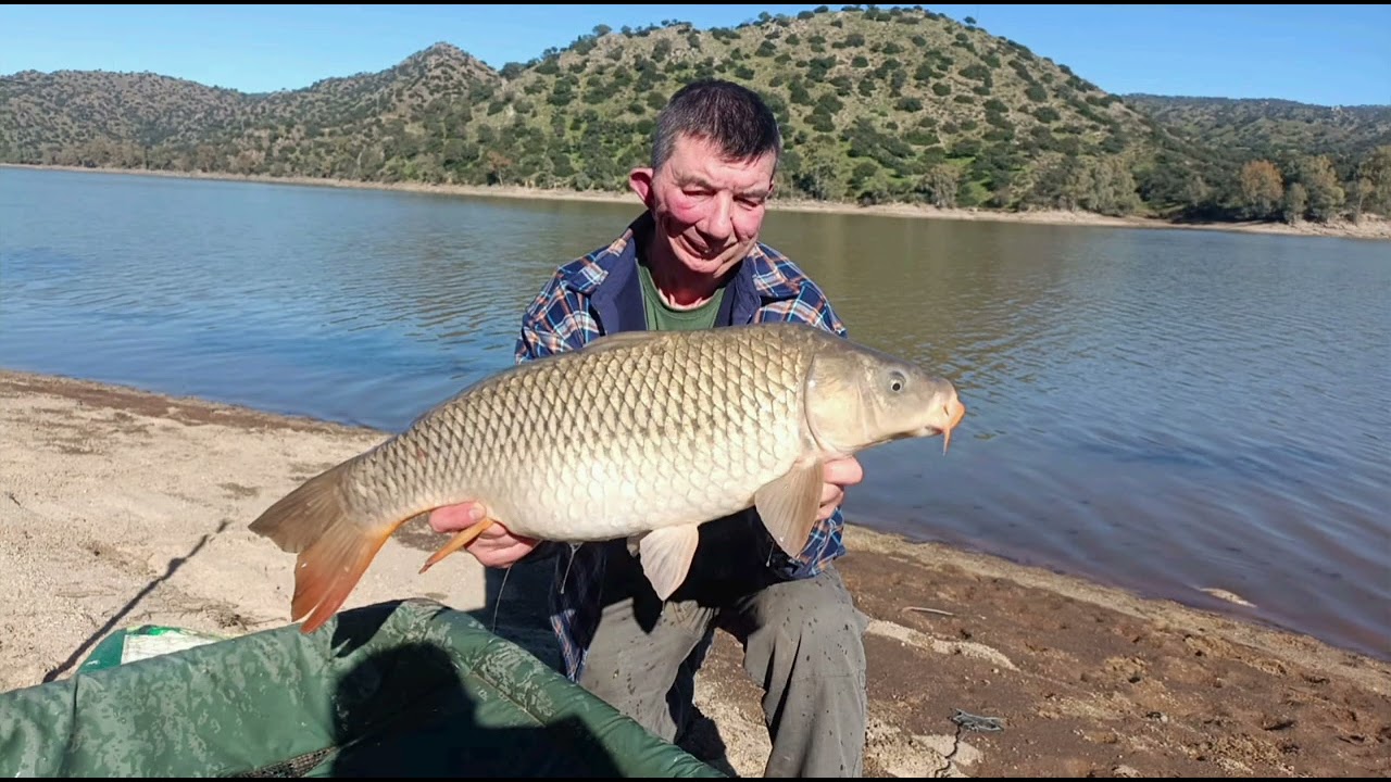 Carpfishing encinarejo concurso 2026 🎣🎣🎣