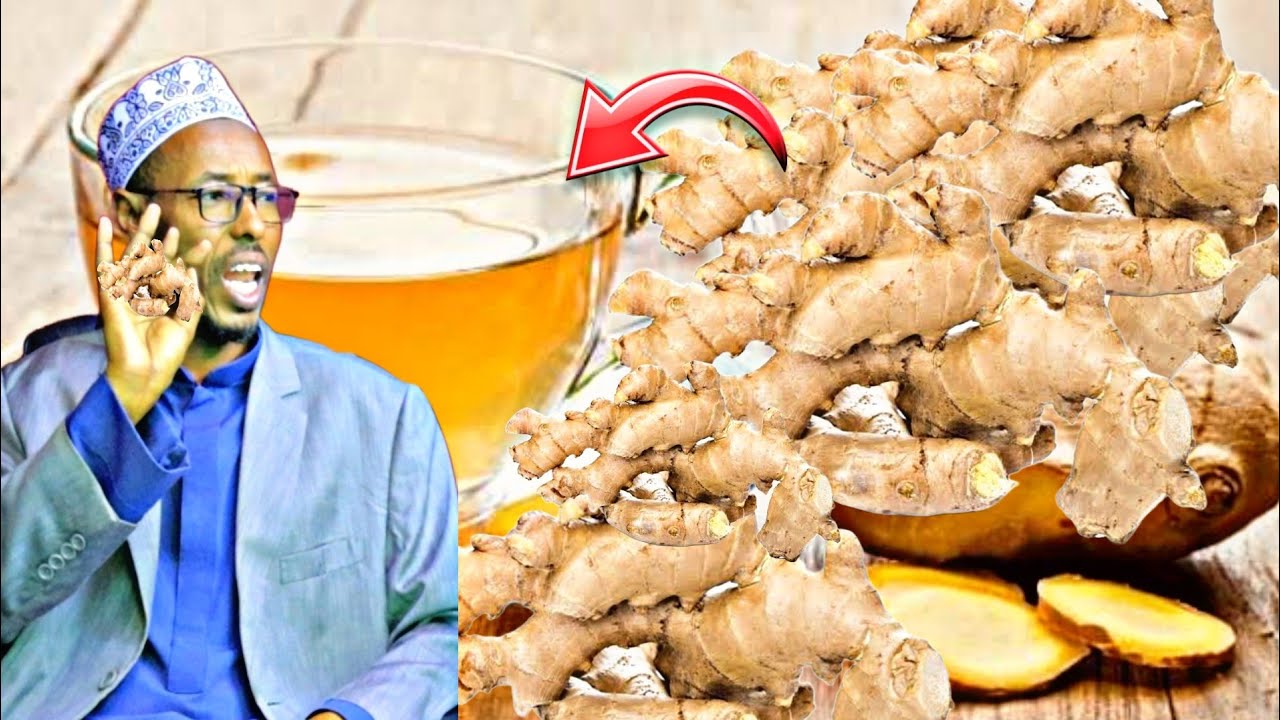 Daawo Faaiidada Sanjabiisha,xiliga ugu Fiican Ee laisticmaalo Dr mahamed Bashiir...