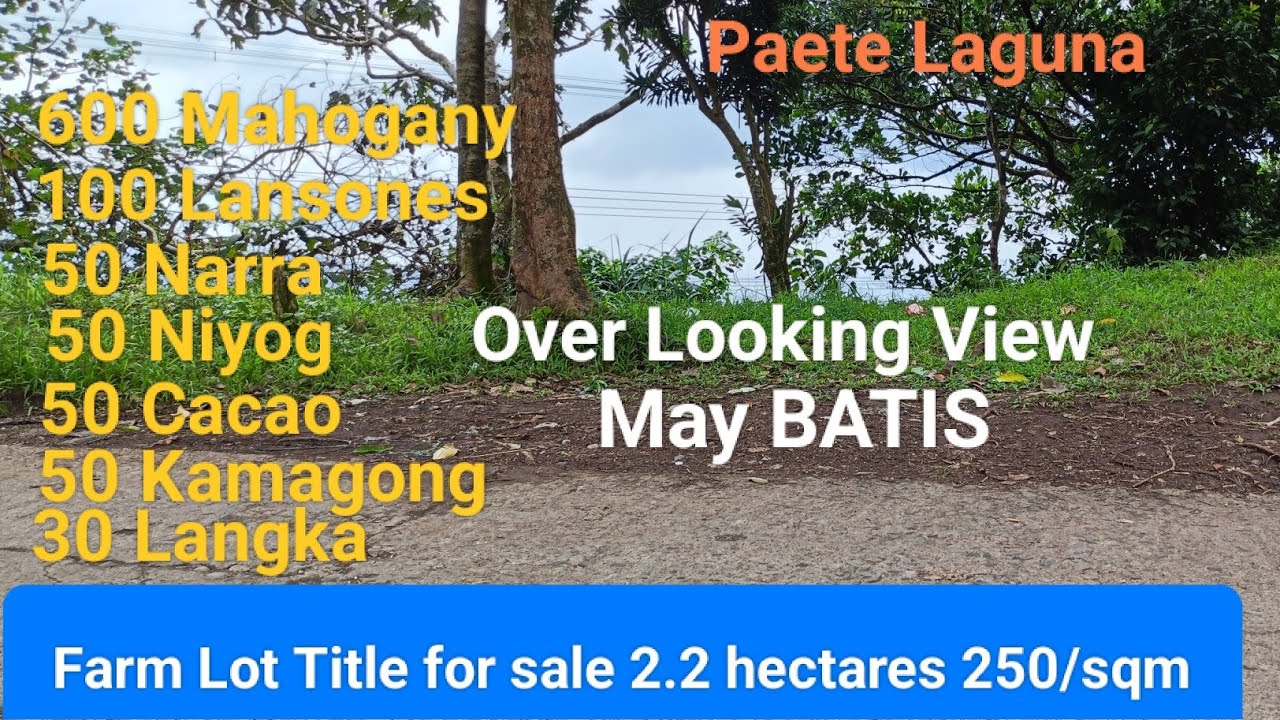 #Vlog231 FARM LOT FOR SALE TITLE | COLD WEATHER in PAETE LAGUNA 📍SOLD📍