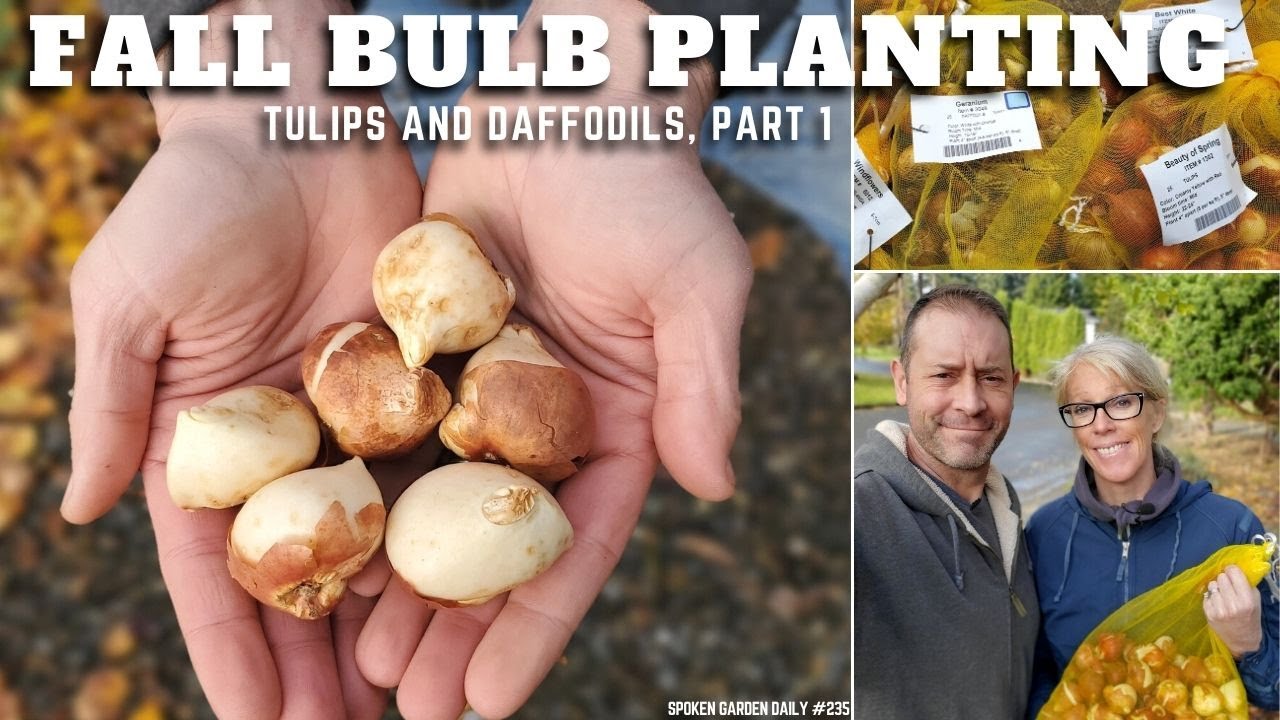🌷 Planting Bulbs in the Fall - SGD 235 🌷