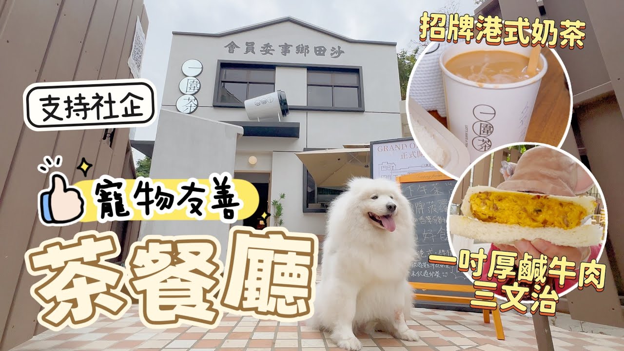 【狗狗好去處】帶狗狗去 70 多年歷史建築物食下午茶！社企茶餐廳😋價錢親民，招牌菠蘿包連港式香滑奶茶都係30幾蚊｜西摩Tako｜@big_dog_channel 
