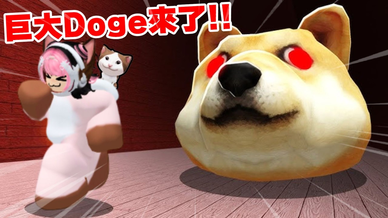 我被巨大Doge瘋狂追殺！😱闖入恐怖迷宮拯救POP貓！【Roblox 機械方塊】