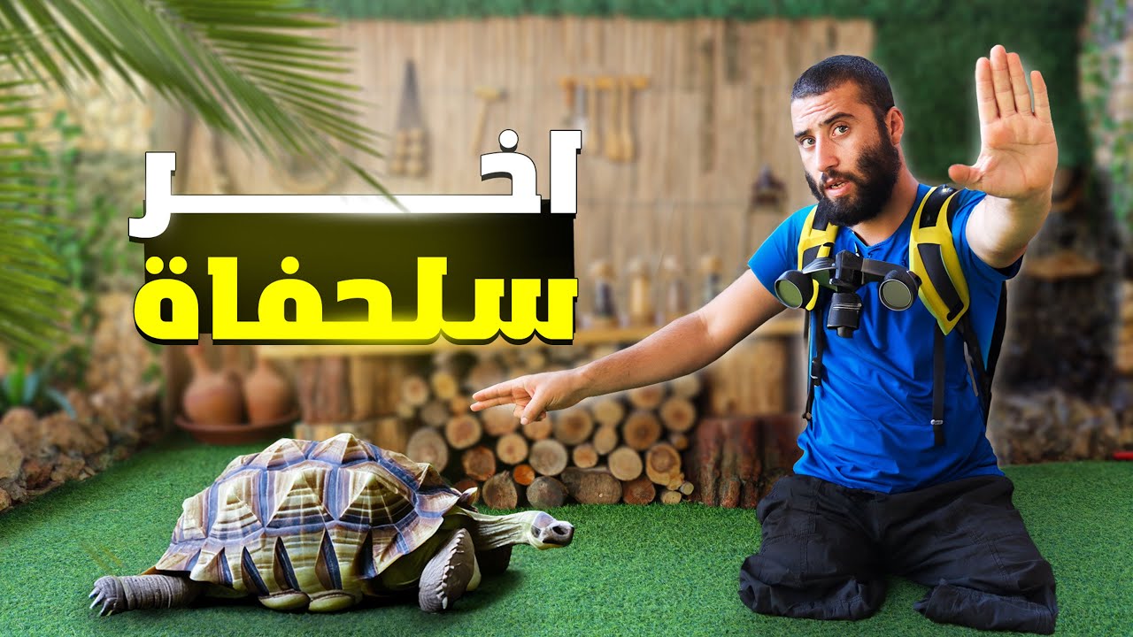 احتفظو بهم بسرعة انها ثروة لاتقدر بثمن والسبب..#الريف_السوري #روتيني_اليومي