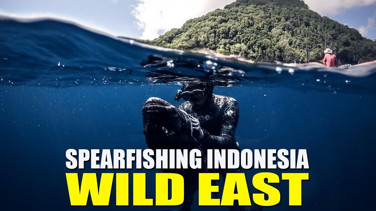 INDONESIA TRAVEL & SPEARFISHING : Andrespearguns Liveaboard Trip May 2018