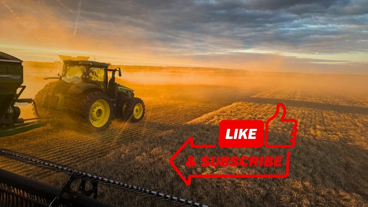 Стоп. Погнали. Стоп. Погнали. Урожай на повторе…🌧️