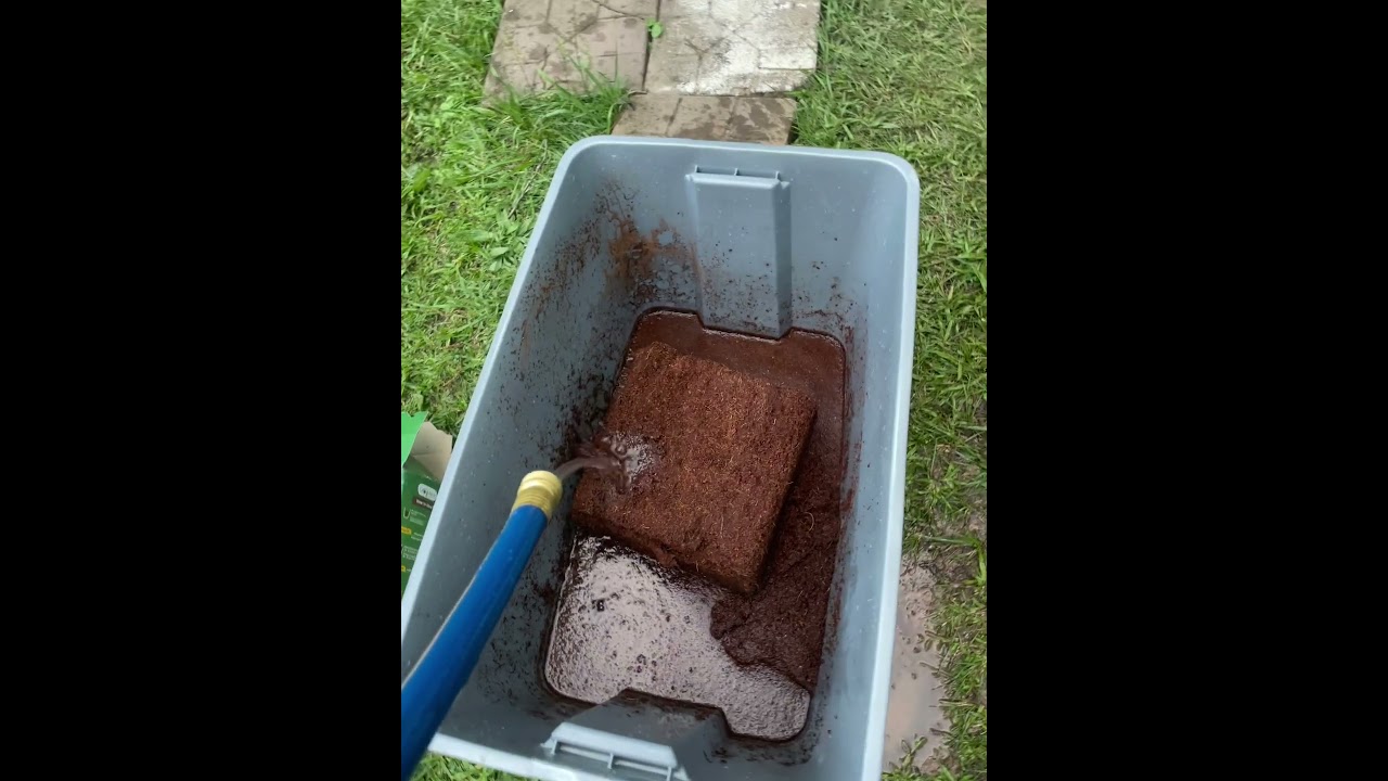 How to use Coco Coir #coconutcoir #perlite #cococoir #soil #gardensoil #garden #howto #amazonfinds