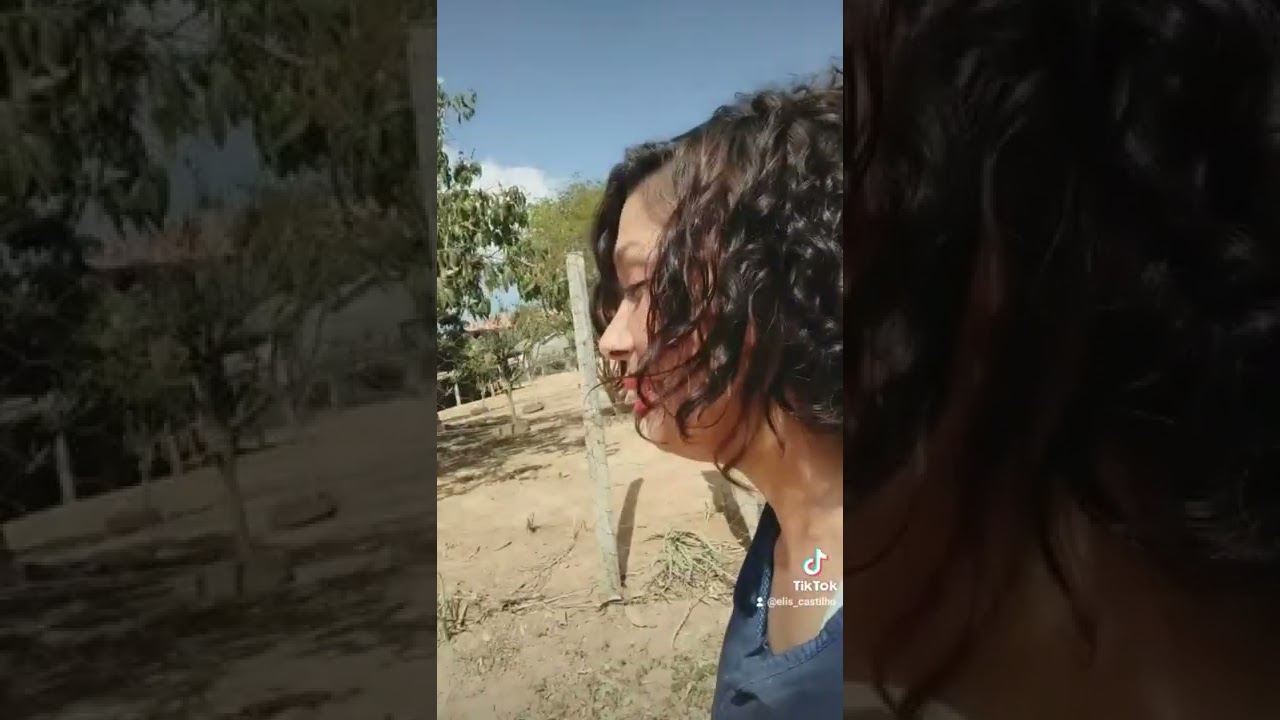 Vida de Recenseadora - Meme IBGE