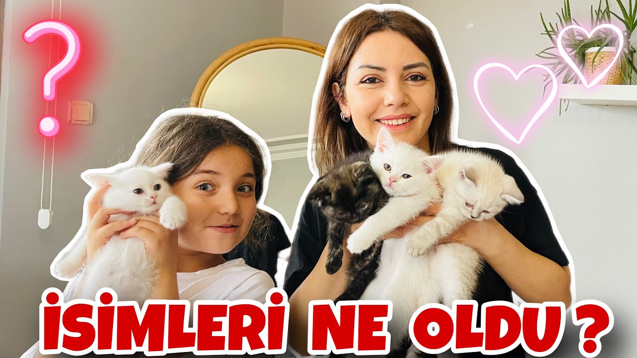 YAVRU KEDİLERİMİZİN İSİMLERİNİ KOYDUK ! İSİMLERİ NE OLDU !!