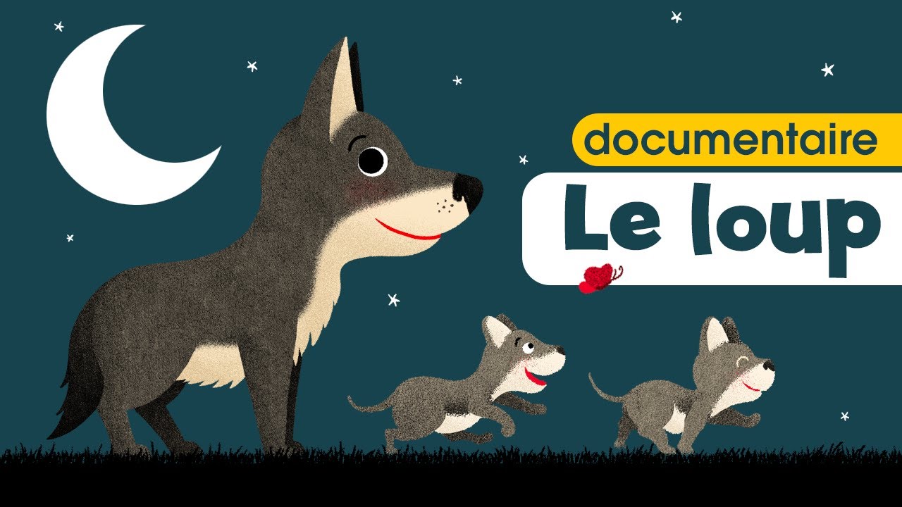 Le loup, la louve & les louveteaux 🐺 Documentaire pour bébé et enfant de crèche et maternelle