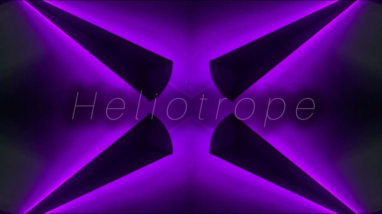 Heliotrope