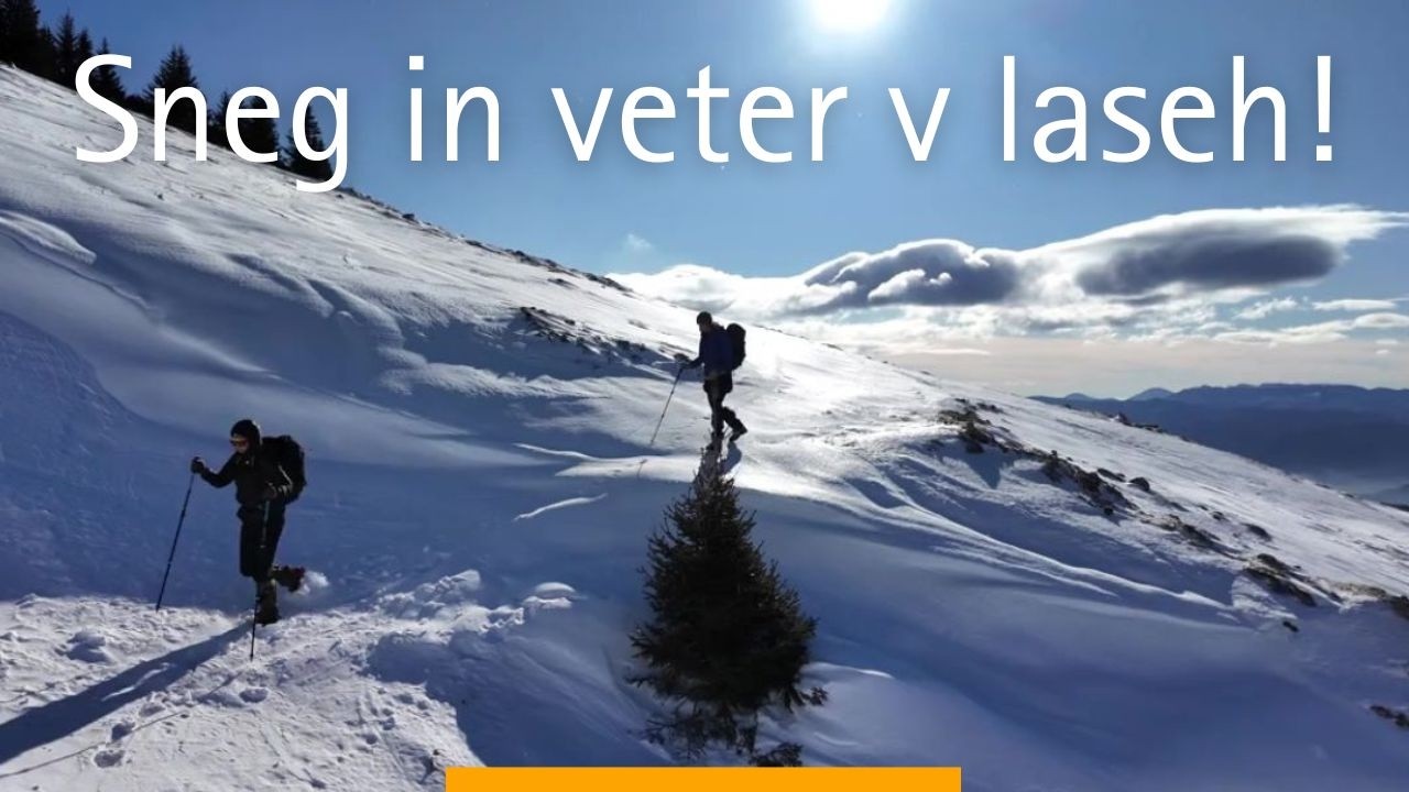 Struška z Javorniškega jezera | krožna tura | Belska planina | planina Seča | Javorniški Rovt