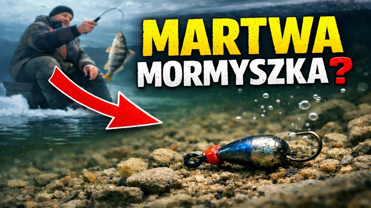 Twoja mormyszka leży MARTWA na dnie? To dlatego sąsiad łowi okonie, a ty nie.