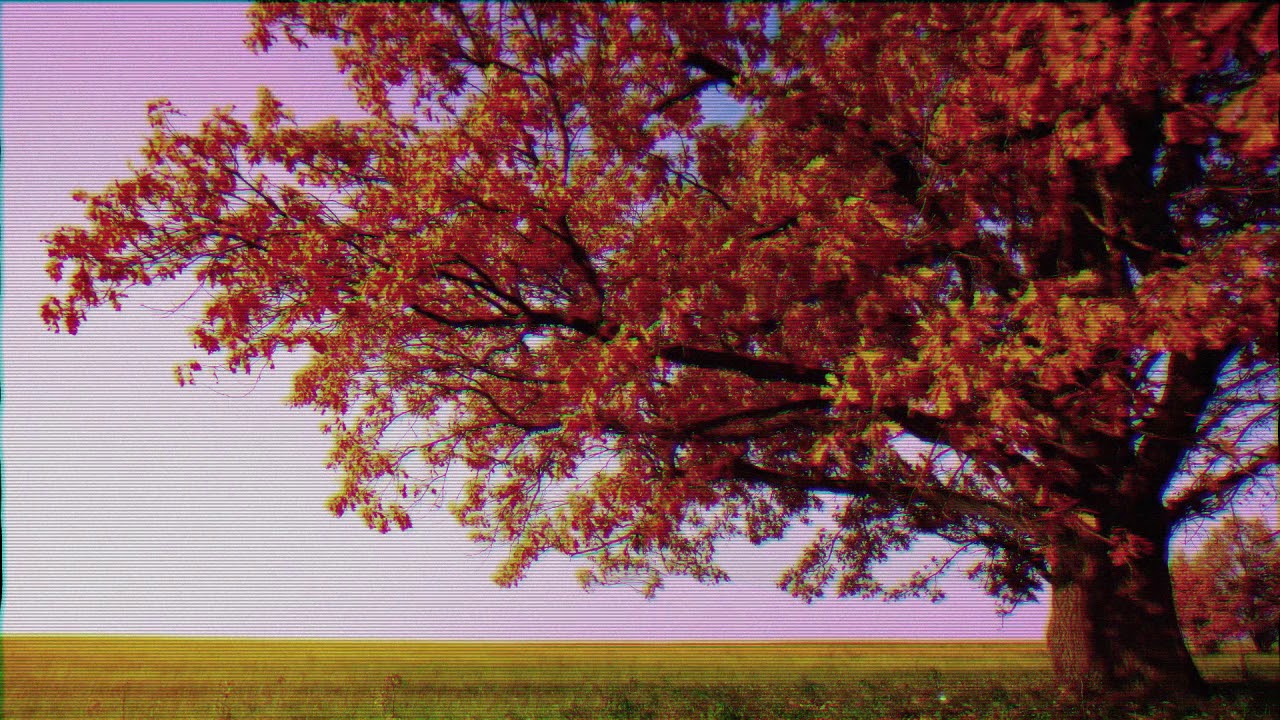 Ｓｅｐｔｅｍｂｅｒ － Ｖａｐｏｒｗａｖｅ
