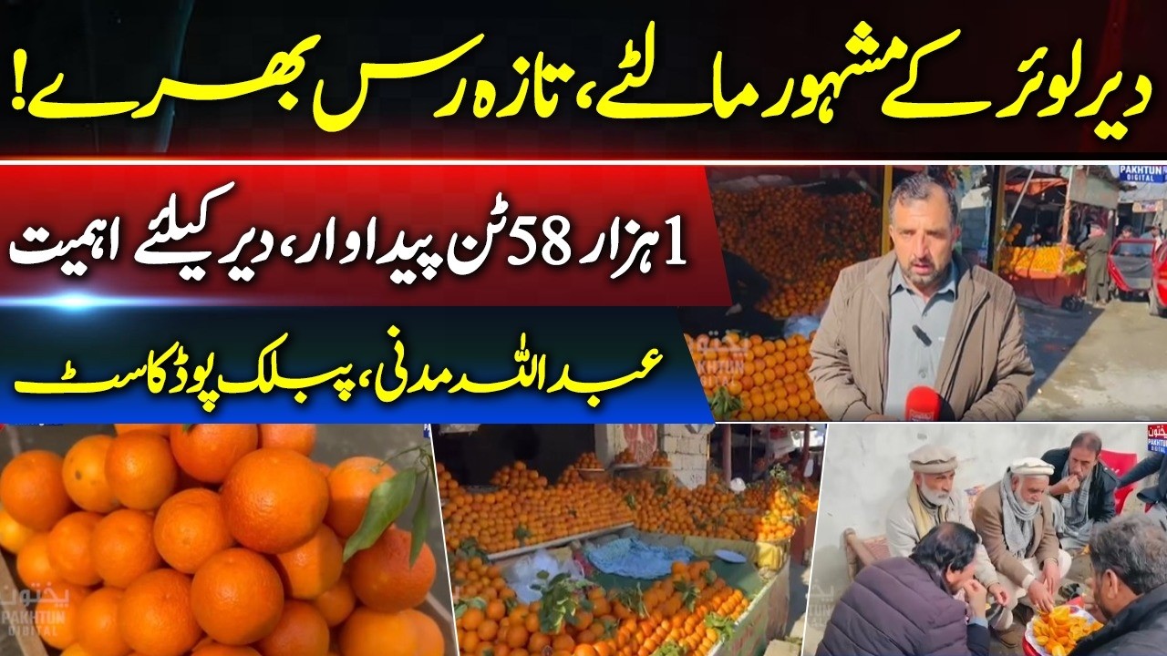 Dir Lower’s Famous Oranges: 1,058 Tons Production | Abdullah Madni Public Podcast
