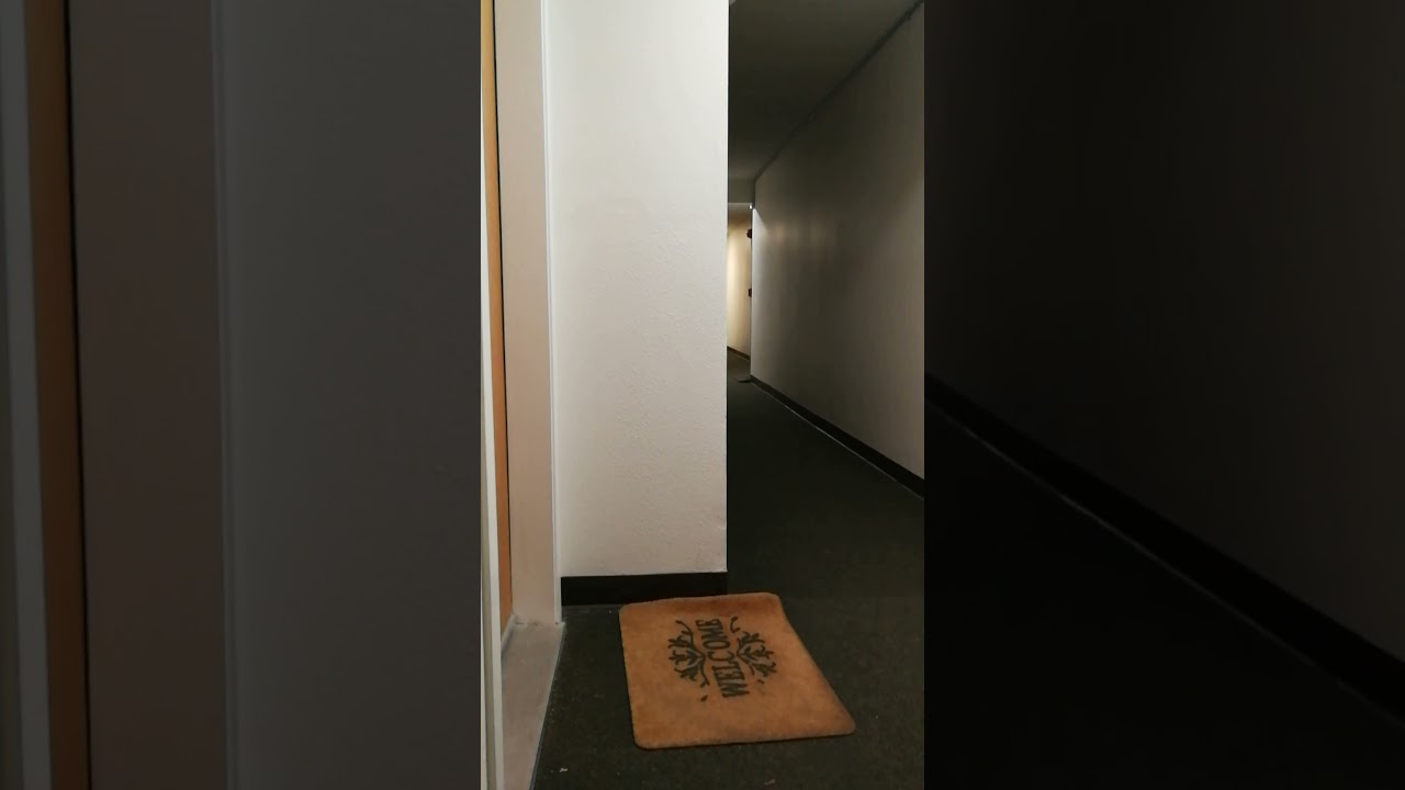 Heard a guy enter my upstairs neighbor's apartment then she shouted then silence