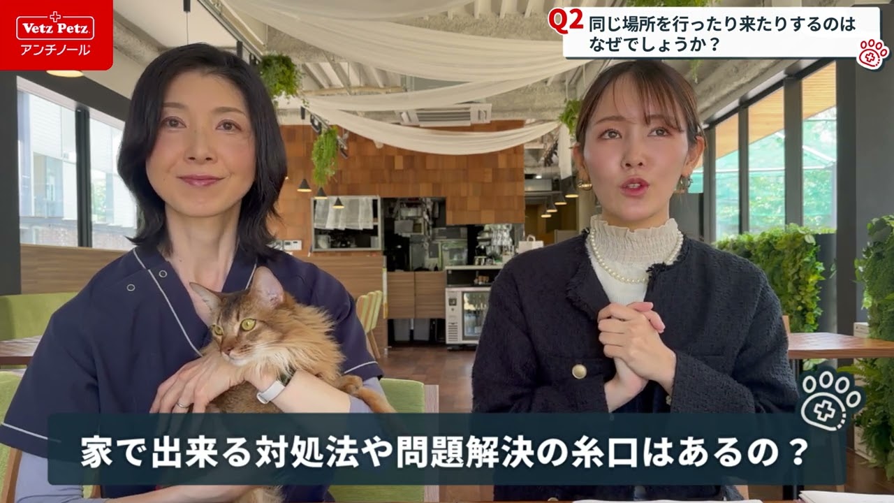 【動物行動学】うちのネコちゃんのこんな行動大丈夫？