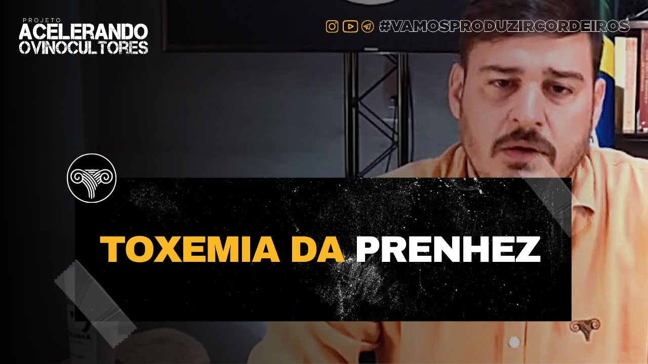 TOXEMIA DA PRENHEZ
