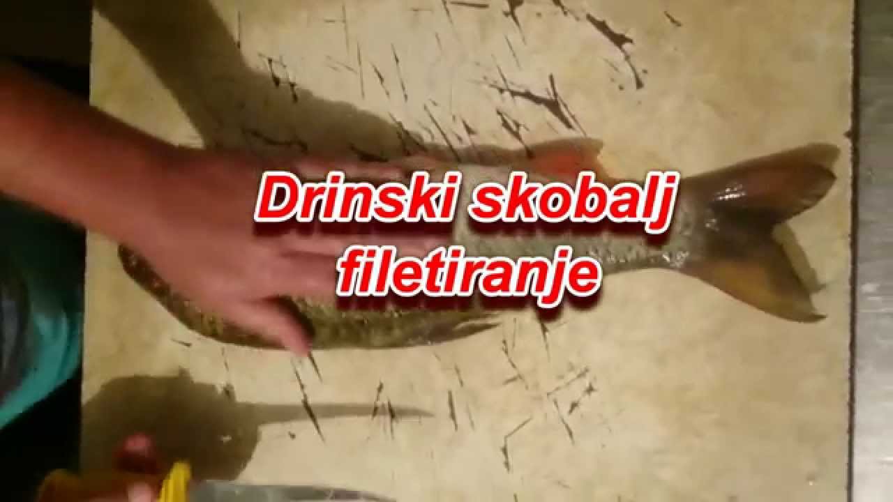 filetiranje skobalja