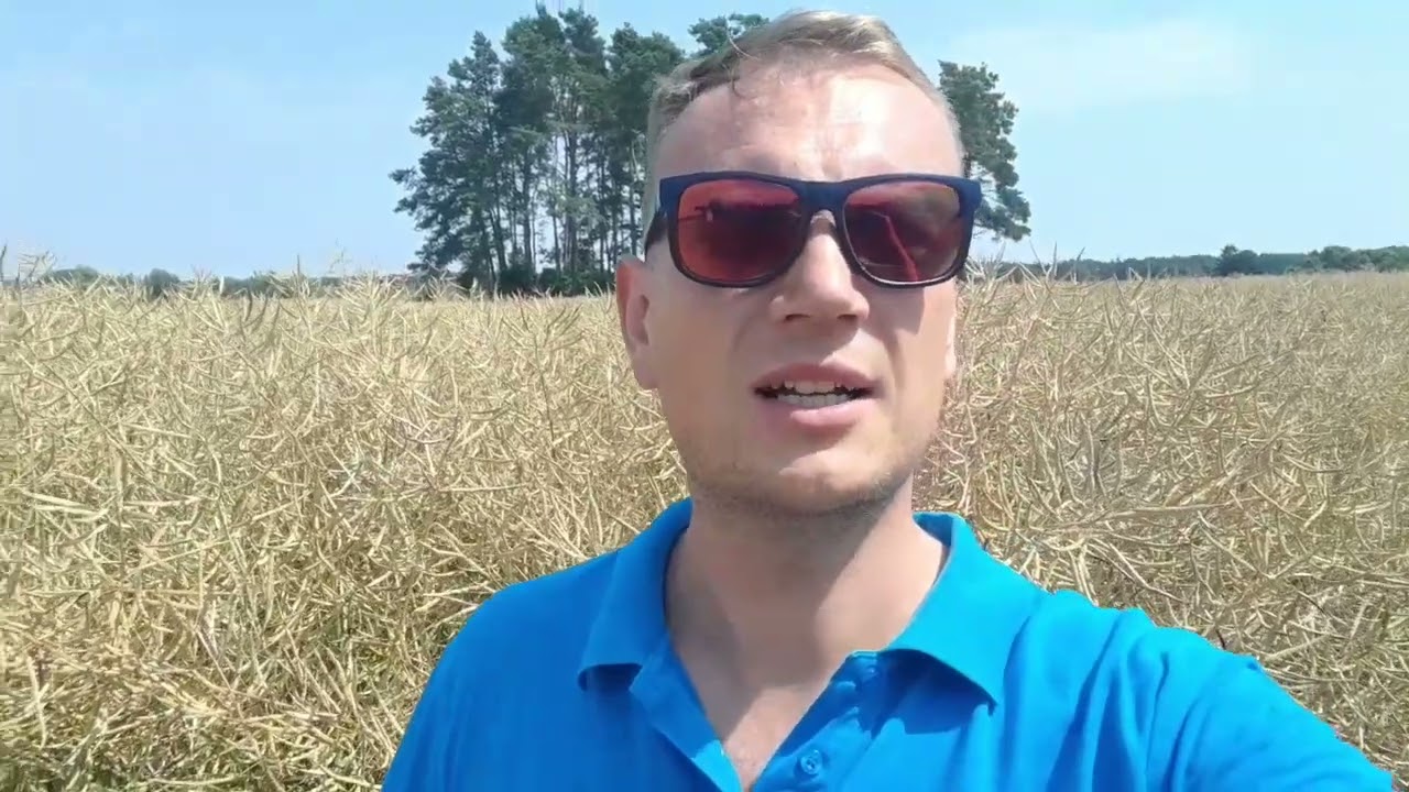 Lustracja rzepaku ozimego Syngenta Aganos