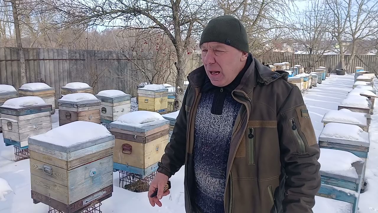 Нове в прослуховуванні бджіл