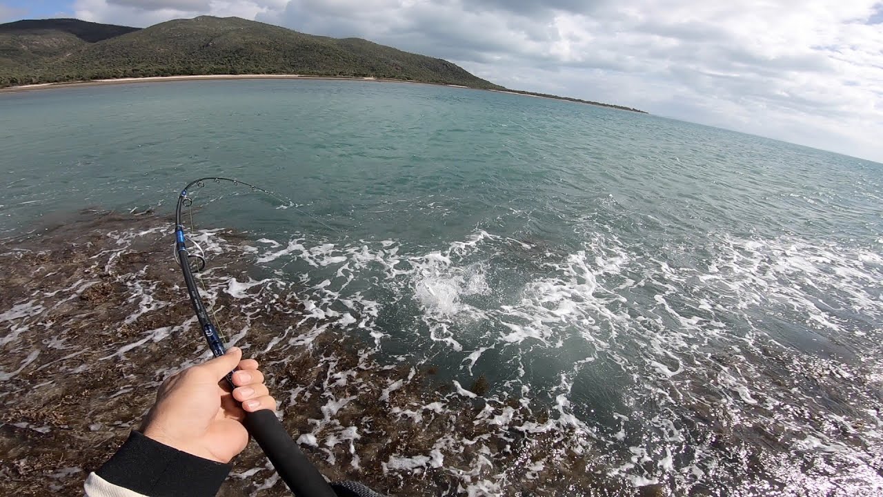 Local Reef Cap Gloucester