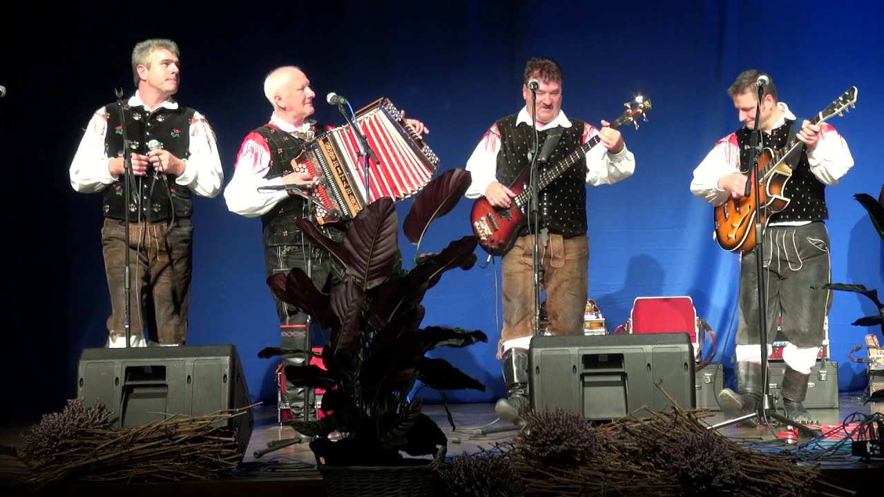 Ansambel bratov Poljan&scaron;ek-Tuhinjski fantje (v živo)