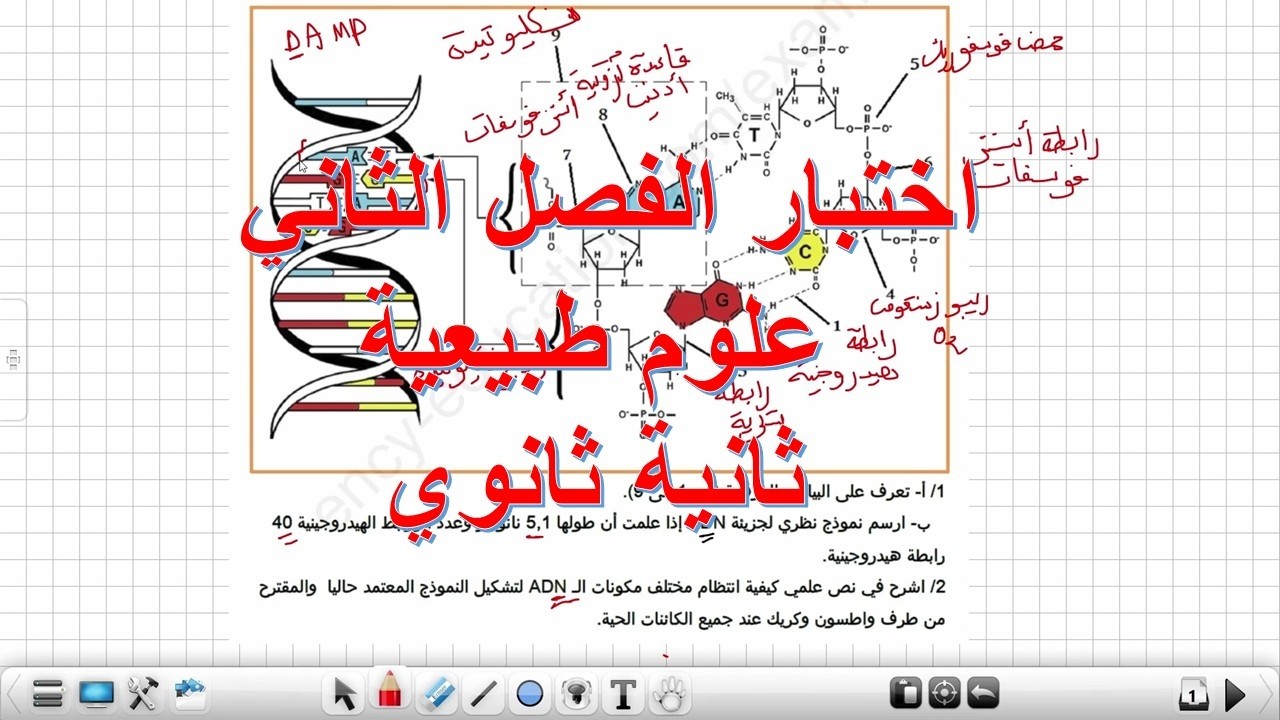 اختبار الفصل الثاني علوم طبيعية  2ثانوي