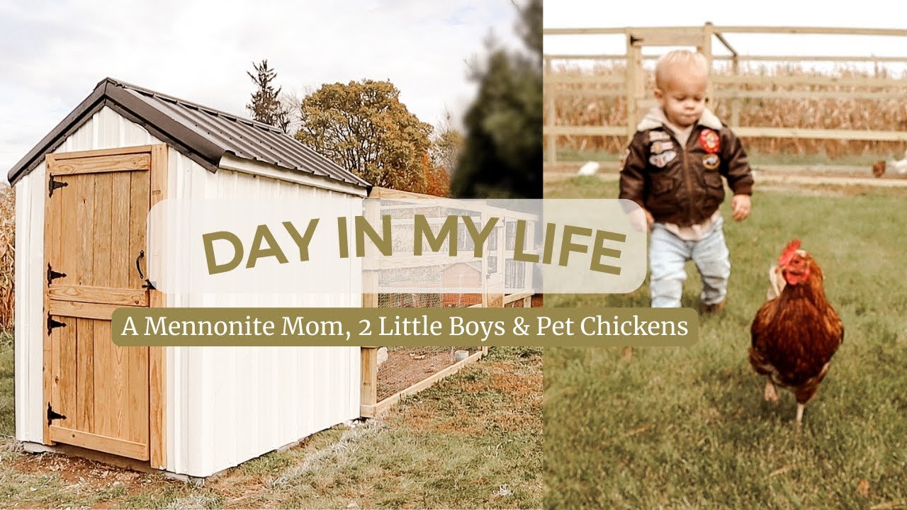 Day In the Life of a Mennonite Mom of 2 under 2! Introducing Baby Myles