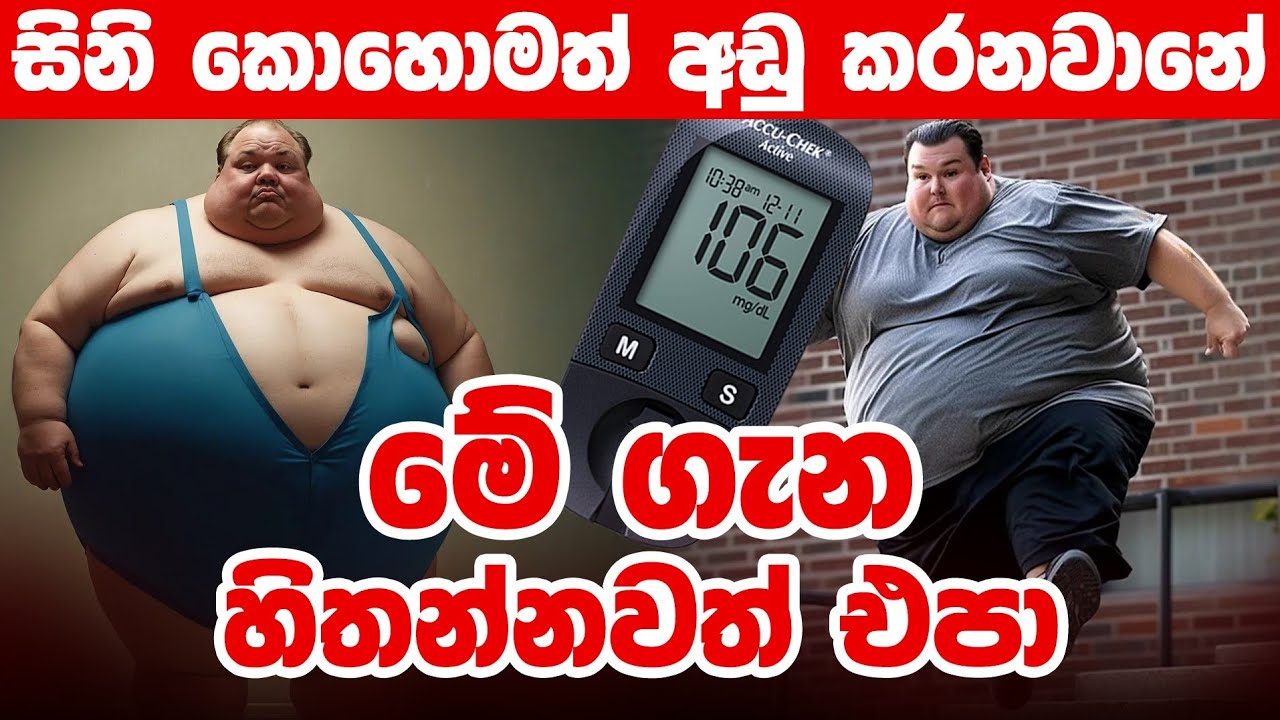 Type 2 දියවැඩියාව ඖෂධ මතම රඳා පවතීද? | සීනි නිසා වකුගඩු හානි වෙන්නේ කොහොමද?|මේදය මත ජීවිතය රඳා පවතී|