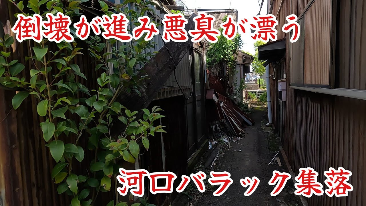 【和歌山市湊】植物に飲み込まれつつある悪臭漂うバラック集落。A foul-smelling shack settlement being swallowed up by vegetation.
